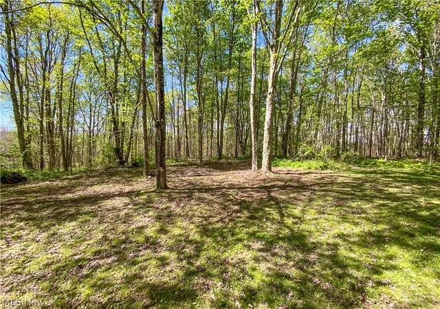 Photo 3 of Sale Pending at 0 Brushy Hl Rd, Jerusalem, OH 43747 | MLS# 5216832 | Listing updated on 2026-09-30