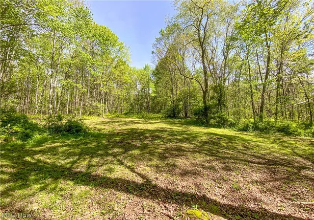 Photo 4 of Sale Pending at 0 Brushy Hl Rd, Jerusalem, OH 43747 | MLS# 5216832 | Listing updated on 2026-09-30