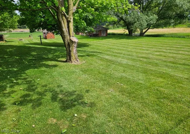 2nd image of 8672 Bayard Rd, Minerva, OH 44657 | MLS# 5216868