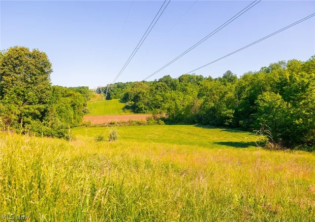Homes for sale in Frazeysburg, OH | 12680 Old Riley Rd #3, Frazeysburg, OH 43822 | MLS# 5213135