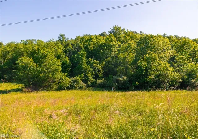 Homes for sale in Frazeysburg, OH | 12680 Old Riley Rd #3, Frazeysburg, OH 43822 | MLS# 5213135