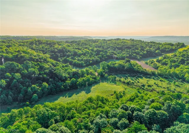 Homes for sale in Frazeysburg, OH | 12680 Old Riley Rd #5, Frazeysburg, OH 43822 | MLS# 5213139