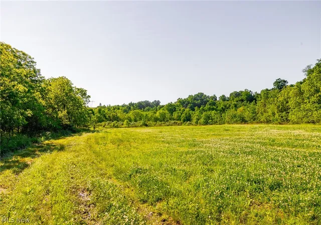 Homes for sale in Frazeysburg, OH | 12680 Old Riley Rd #5, Frazeysburg, OH 43822 | MLS# 5213139