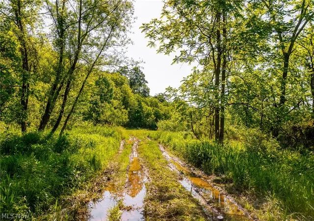 Homes for sale in Frazeysburg, OH | 12680 Old Riley Rd #5, Frazeysburg, OH 43822 | MLS# 5213139