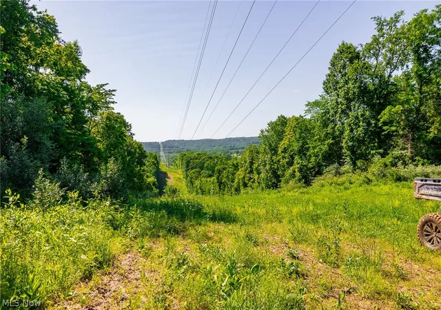Homes for sale in Frazeysburg, OH | 5568 Schoolhouse Rd #7, Frazeysburg, OH 43822 | MLS# 5213154