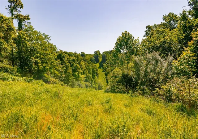 Homes for sale in Frazeysburg, OH | 5568 Schoolhouse Rd #7, Frazeysburg, OH 43822 | MLS# 5213154