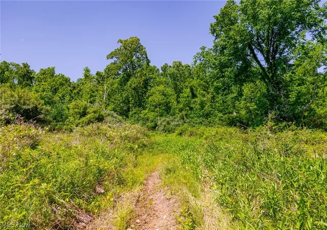 Homes for sale in Frazeysburg, OH | 5568 Schoolhouse Rd #8, Frazeysburg, OH 43822 | MLS# 5213159