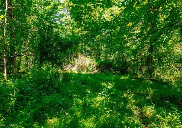 Homes for sale in Frazeysburg, OH | 5568 Schoolhouse Rd #8, Frazeysburg, OH 43822 | MLS# 5213159