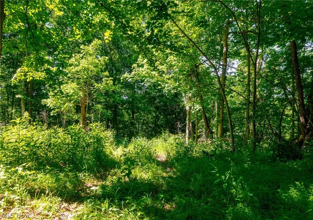 Homes for sale in Frazeysburg, OH | 5568 Schoolhouse Rd #8, Frazeysburg, OH 43822 | MLS# 5213159