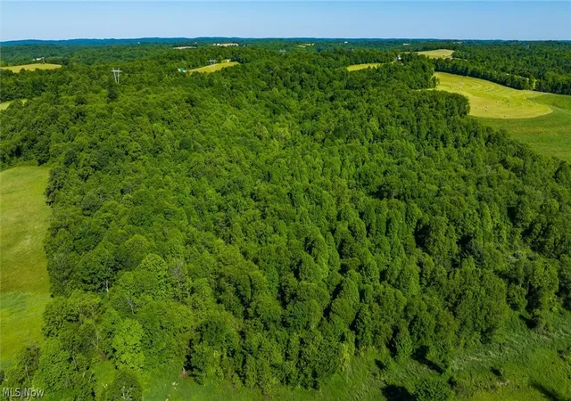 Homes for sale in Frazeysburg, OH | Cr 80, Frazeysburg, OH 43822 | MLS# 5217341