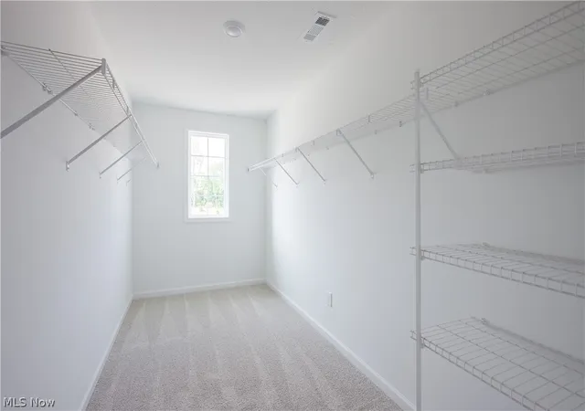 25th image of 8010 Echo Hill Manor Dr, Mentor, OH 44060 | MLS# 5217417