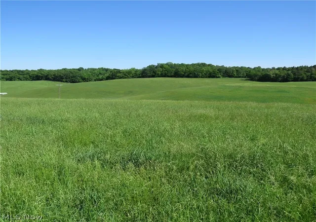 Photo 4 of Land for sale at Fargo Rd SW, Dellroy, OH 44620 | MLS# 5214344 | Listing updated on 2026-06-10