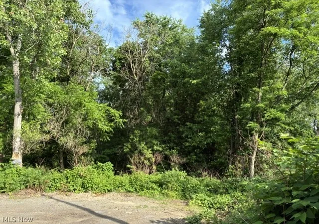 Homes for sale in Weirton, WV | Lane St, Weirton, WV 26062 | MLS# 5217555