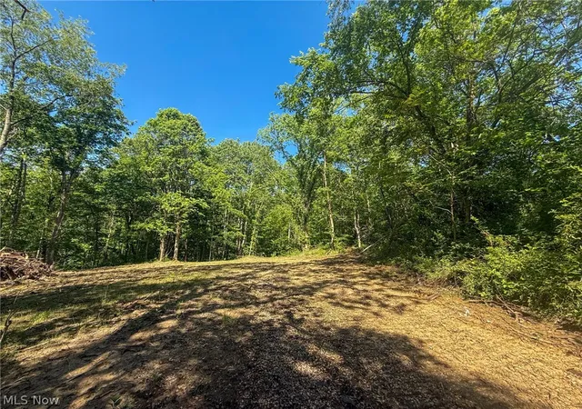 1st image of St Rt 555, Chesterhill, OH 43728 | MLS# 5217710