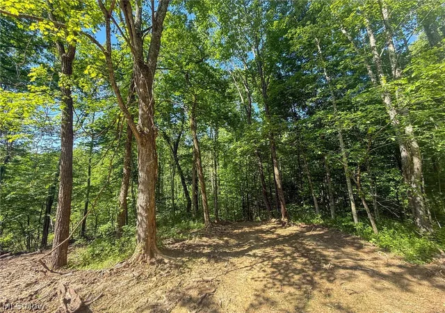 2nd image of St Rt 555, Chesterhill, OH 43728 | MLS# 5217710
