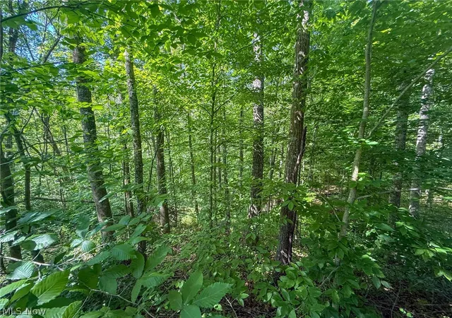 3rd image of St Rt 555, Chesterhill, OH 43728 | MLS# 5217710