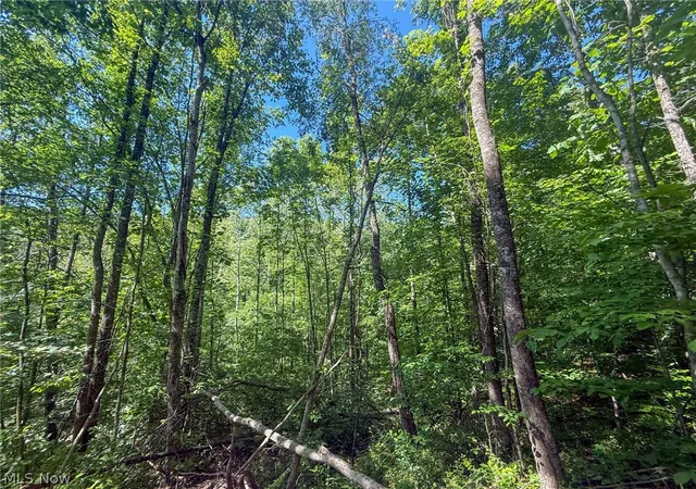 4th image of St Rt 555, Chesterhill, OH 43728 | MLS# 5217710