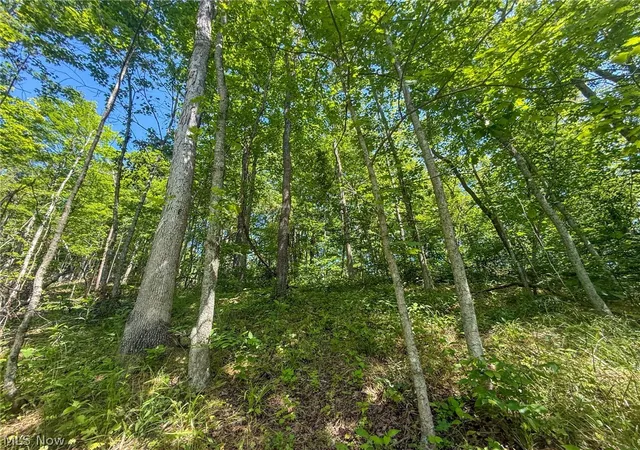 50th image of St Rt 555, Chesterhill, OH 43728 | MLS# 5217710