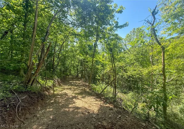 5th image of St Rt 555, Chesterhill, OH 43728 | MLS# 5217710