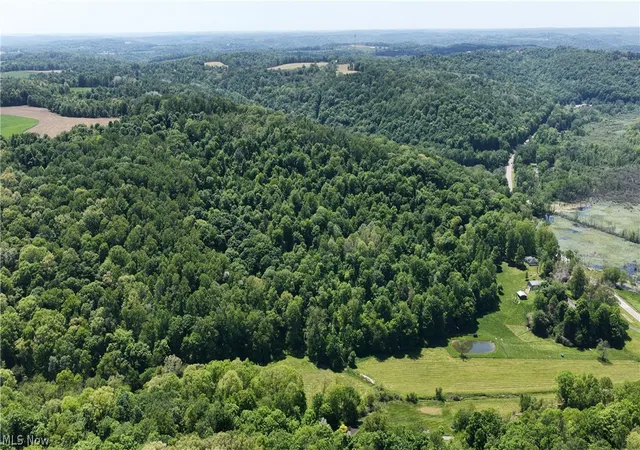 3rd image of 8690 Us Route 62, Killbuck, OH 44637 | MLS# 5217519