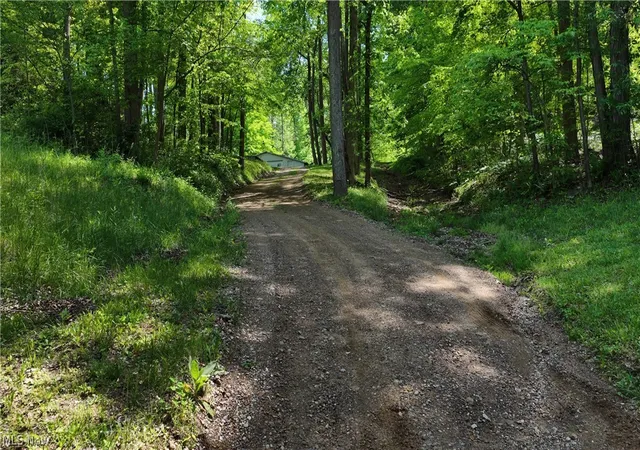 4th image of 8690 Us Route 62, Killbuck, OH 44637 | MLS# 5217519