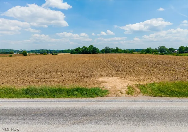 Homes for sale in Apple Creek, OH | S Kohler Rd, Apple Creek, OH 44606 | MLS# 5217820
