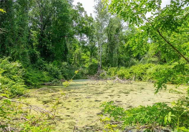 48th image of 72645 Henderson Ridge Rd, Saint Clairsville, OH 43950 | MLS# 5218236
