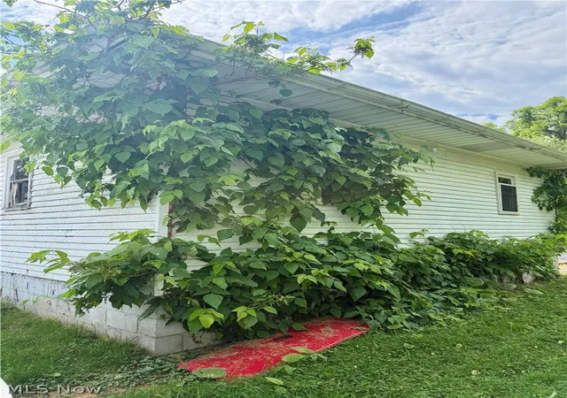 Homes for sale in Youngstown, OH | 828 Miami St, Youngstown, OH 44505 | MLS# 5218304