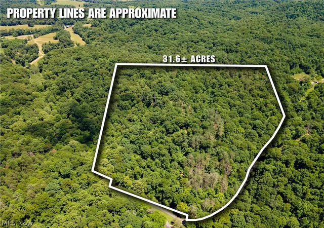 Homes for sale in Pomeroy, OH | 0 Long Hollow Rd, Pomeroy, OH 45769 | MLS# 5218341