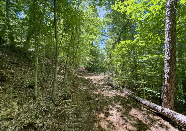 Homes for sale in Pomeroy, OH | 0 Long Hollow Rd, Pomeroy, OH 45769 | MLS# 5218341