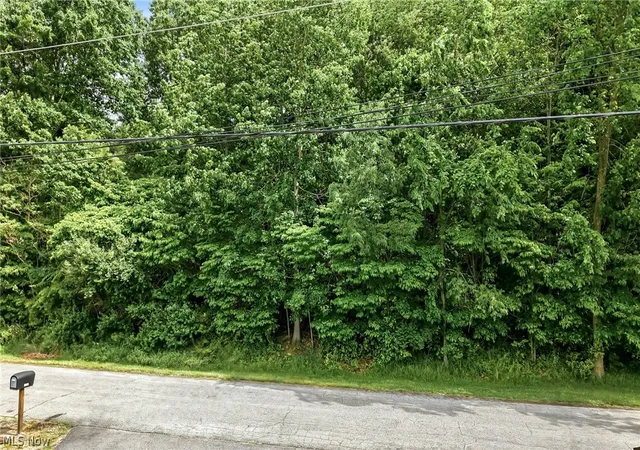15th image of Tomahawk Dr, Negley, OH 44441 | MLS# 5218700