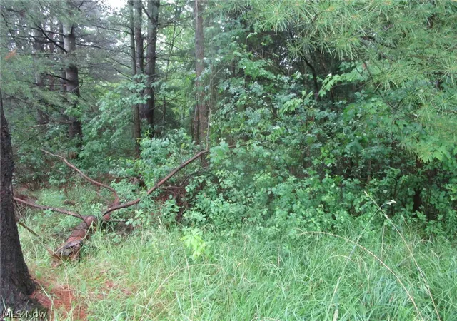 Photo 2 of Sale Pending at Vl Callender Rd, Rome, OH 44085 | MLS# 5218836 | Listing updated on 2026-09-01