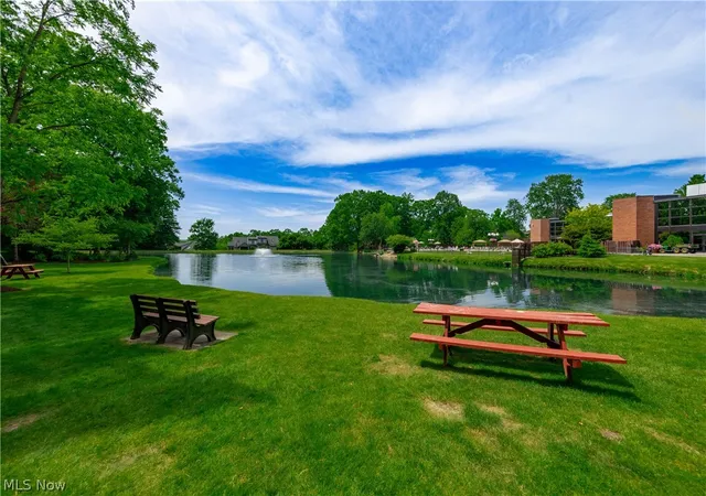 33rd image of 1115 Canyon View Rd #103, Northfield, OH 44067 | MLS# 5218826