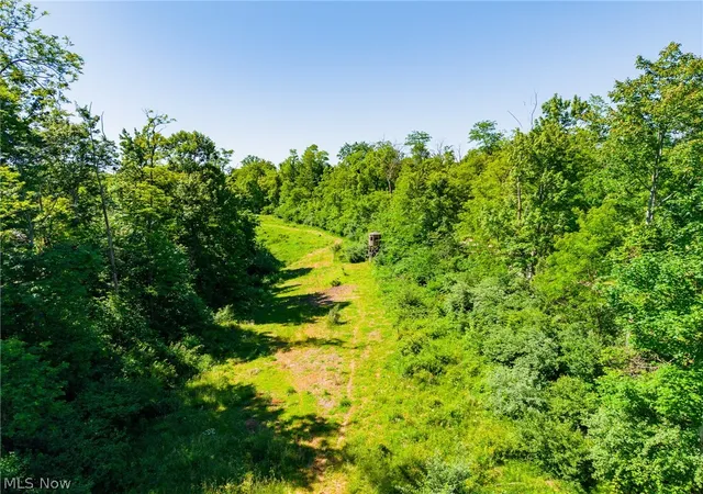 32nd image of 84143 Gilmore Ridge Road, Cadiz, OH 43907 | MLS# 5211305