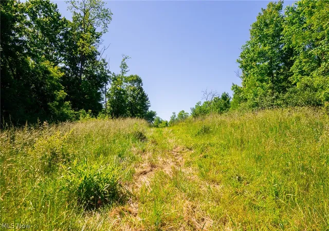 Photo 4 of Sale Pending at 84143 Gilmore Ridge Rd, Cadiz, OH 43907 | MLS# 5211305 | Listing updated on 2026-07-15