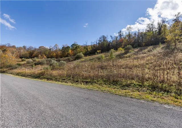 2nd image of 51345 Little Mcmahon Creek Rd, Saint Clairsville, OH 43950 | MLS# 5218940