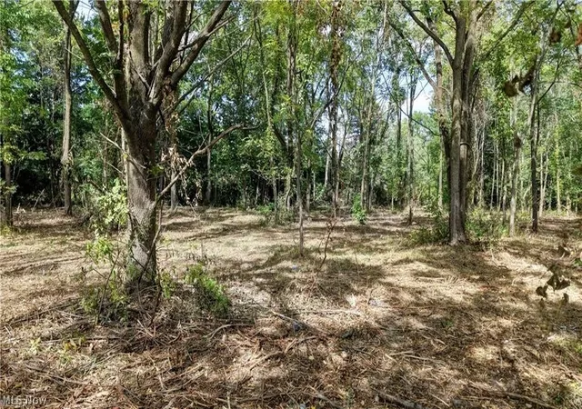Photo 4 of Land for sale at 3083 Massillon Rd, Green, OH 44312 | MLS# 5217927 | Listing updated on 2026-07-23