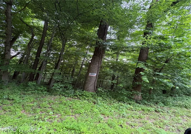 Homes for sale in Sardis, OH | 38532 Township Rd 13, Sardis, OH 43946 | MLS# 5219322