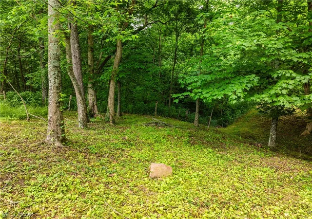 47th image of 50117 Township Road 215, Fresno, OH 43824 | MLS# 5219568