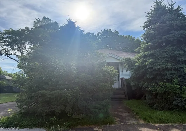 Homes for sale in Niles, OH | 407 Sheridan Ave, Niles, OH 44446 | MLS# 5219339