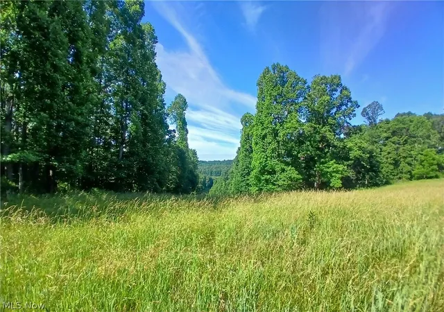 2nd image of 868 Township Road 278, Bergholz, OH 43908 | MLS# 5219456