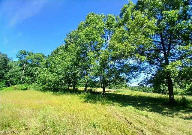 3rd image of 868 Township Road 278, Bergholz, OH 43908 | MLS# 5219456