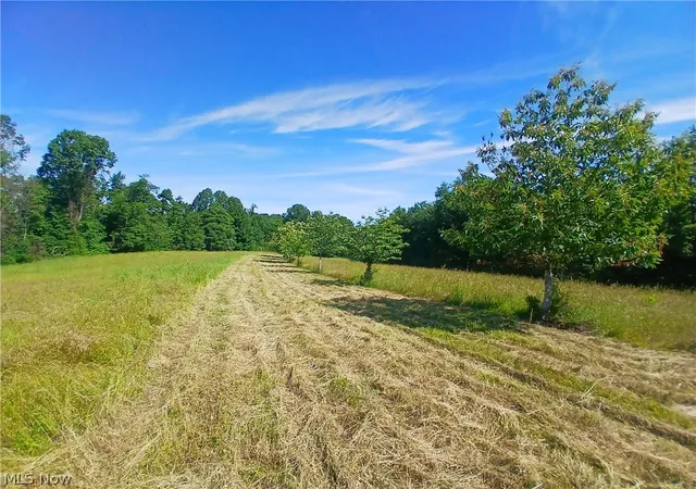 4th image of 868 Township Road 278, Bergholz, OH 43908 | MLS# 5219456