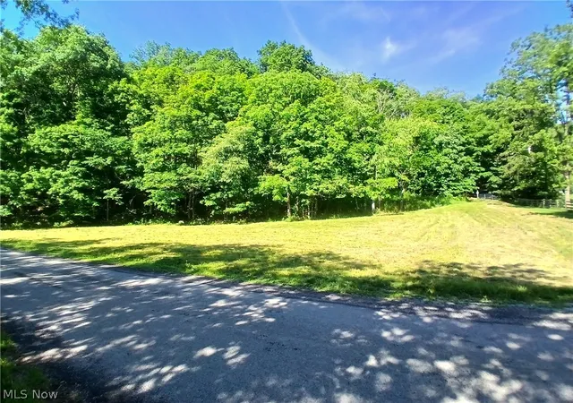 5th image of 868 Township Road 278, Bergholz, OH 43908 | MLS# 5219456