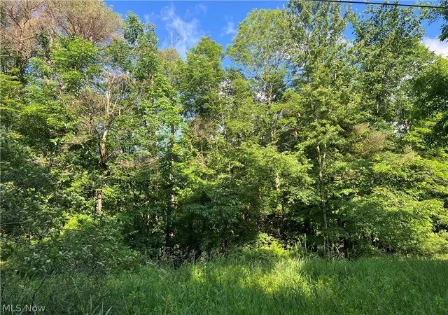 1st image of State Line Rd, Conneaut, OH 44082 | MLS# 5219839
