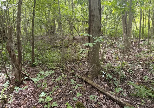 1st image of Ninevah Rd, Geneva, OH 44041 | MLS# 5220120