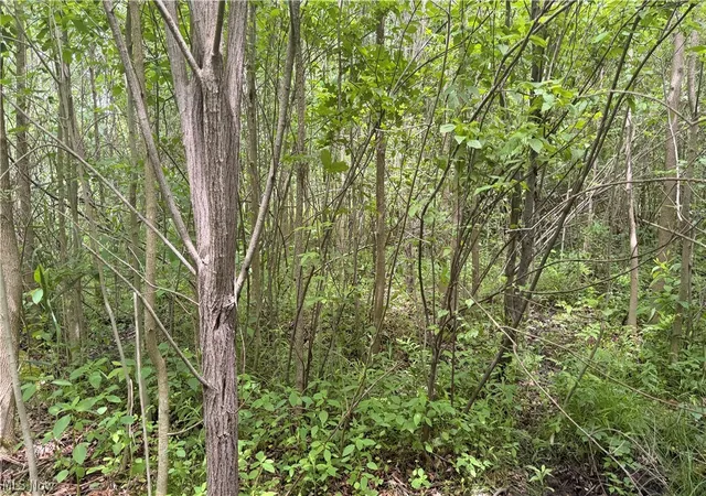 3rd image of Ninevah Rd, Geneva, OH 44041 | MLS# 5220120