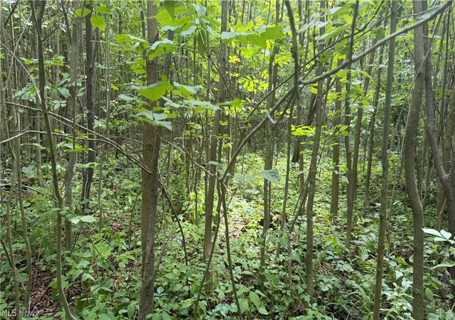 4th image of Ninevah Rd, Geneva, OH 44041 | MLS# 5220120