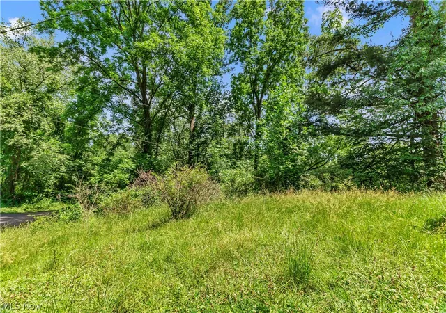 Homes for sale in Salem, OH | 1585 Egypt Rd, Salem, OH 44460 | MLS# 5220091