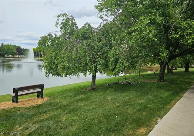 Homes for sale in Broadview Heights, OH | 8605 Scenicview Dr #203, Broadview Heights, OH 44147 | MLS# 5220149